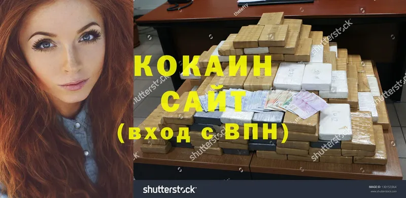 купить наркотики цена  KRAKEN ССЫЛКА  Cocaine Fish Scale  Белореченск 